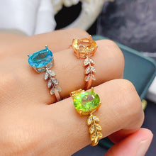 Load image into Gallery viewer, BMM - 0615 - 103410 - 9 - 1 - 貴婦人の宝箱