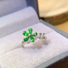Load image into Gallery viewer, LBL - 0530 - 103255 - 5 - 1 - 貴婦人の宝箱