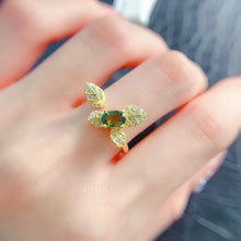 Load image into Gallery viewer, LBL - 0531 - 130335 - 6 - 1 - 貴婦人の宝箱