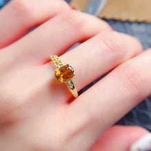 Load image into Gallery viewer, LBL - 0603 - 170330 - 7 - 1 - 貴婦人の宝箱