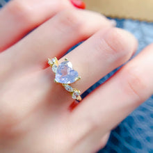 Load image into Gallery viewer, LBL - 0605 - 095438 - 8 - 1 - 貴婦人の宝箱