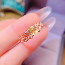 Load image into Gallery viewer, LBL - 0605 - 100137 - 6 - 1 - 貴婦人の宝箱