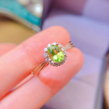 Load image into Gallery viewer, LBL - 0612 - 153512 - 7 - 1 - 貴婦人の宝箱