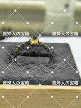 Load image into Gallery viewer, lcadj - 貴婦人の宝箱