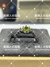 Load image into Gallery viewer, lccch - 貴婦人の宝箱