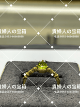 Load image into Gallery viewer, lcgab - 貴婦人の宝箱