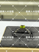Load image into Gallery viewer, lcgkh - 貴婦人の宝箱