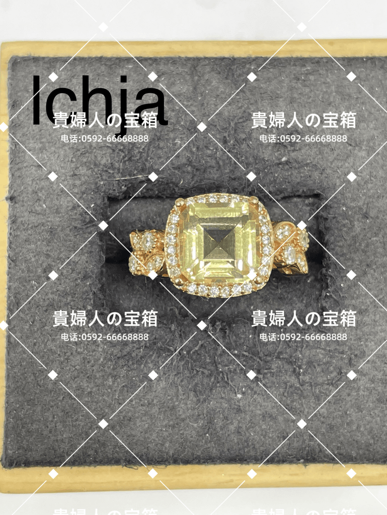 lchja - 貴婦人の宝箱