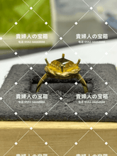 Load image into Gallery viewer, lchjh - 貴婦人の宝箱