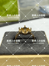 Load image into Gallery viewer, lchjj - 貴婦人の宝箱