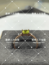 Load image into Gallery viewer, lcjdk - 貴婦人の宝箱