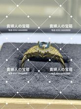 Load image into Gallery viewer, lcqaf - 貴婦人の宝箱