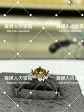 Load image into Gallery viewer, lhdq - 貴婦人の宝箱