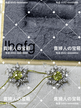 Load image into Gallery viewer, lhqfg - 貴婦人の宝箱