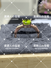 Load image into Gallery viewer, lkaf - 貴婦人の宝箱
