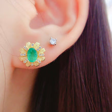 Load image into Gallery viewer, LMM - 0531 - 123449 - 6 - 1 - 貴婦人の宝箱