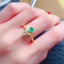 Load image into Gallery viewer, LMM - 0603 - 165524 - 5 - 1 - 貴婦人の宝箱