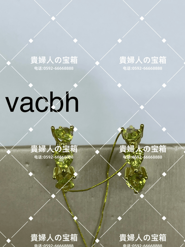 vacbh - 貴婦人の宝箱