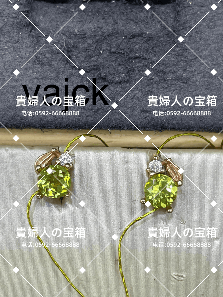 vajck - 貴婦人の宝箱