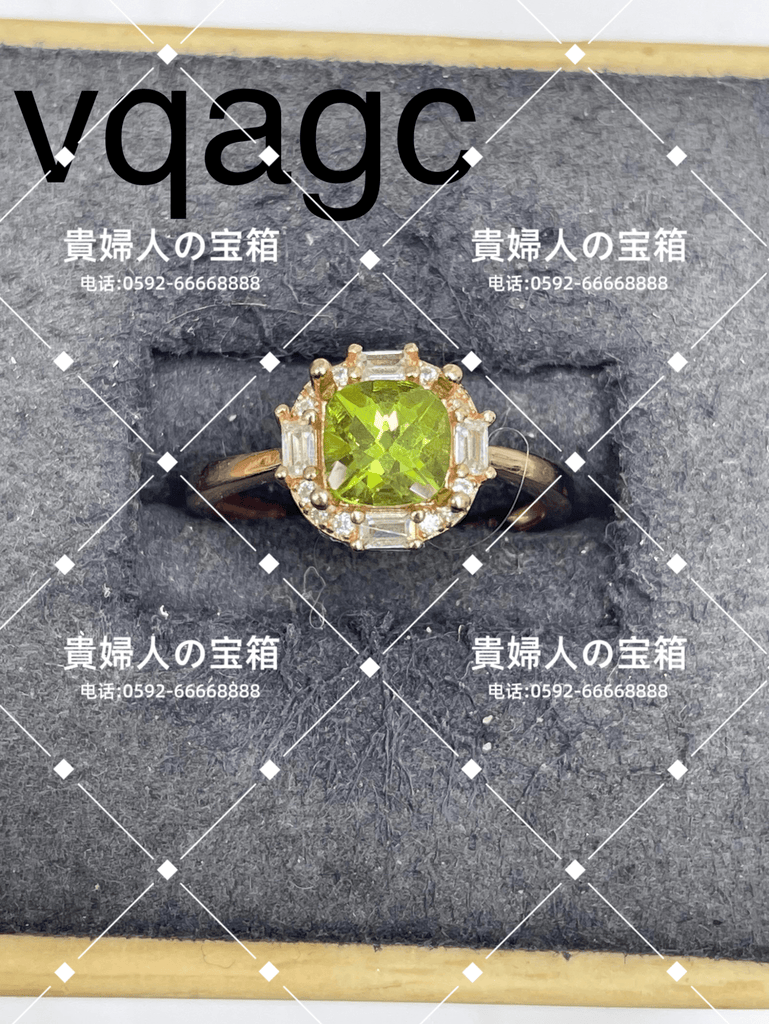 vqagc - 貴婦人の宝箱