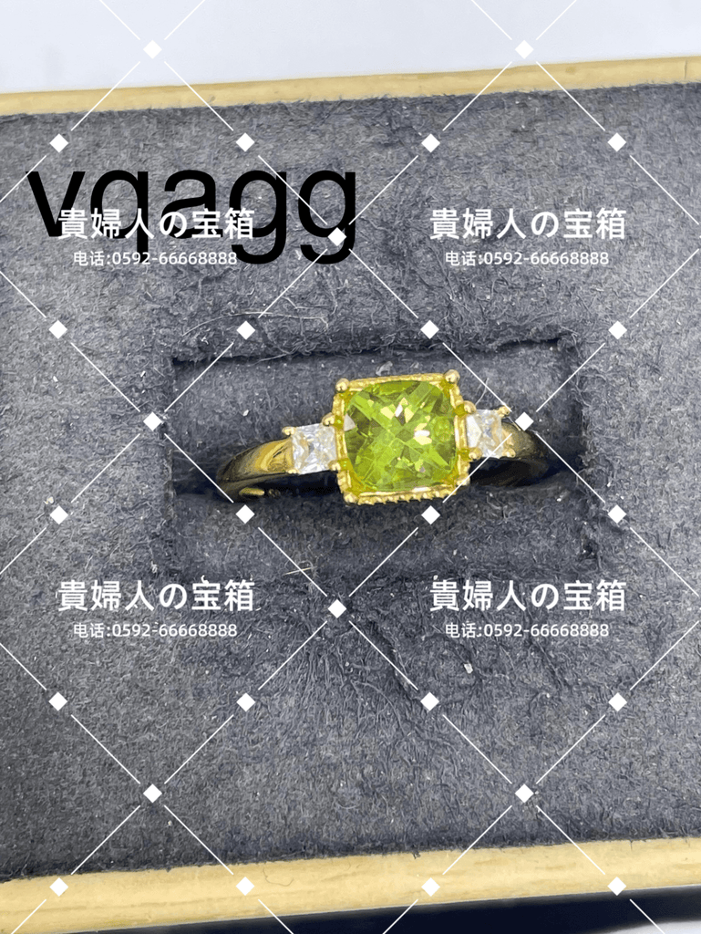 vqagg - 貴婦人の宝箱