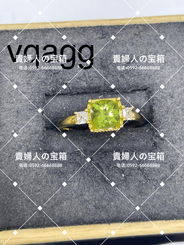 vqagg - 貴婦人の宝箱