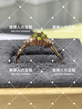 Load image into Gallery viewer, vqaqf - 貴婦人の宝箱
