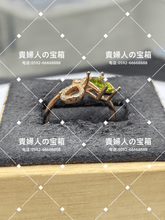 Load image into Gallery viewer, vqaqk - 貴婦人の宝箱