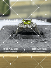 Load image into Gallery viewer, vqfbf - 貴婦人の宝箱
