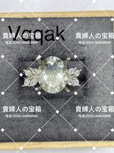 Load image into Gallery viewer, vqqak - 貴婦人の宝箱